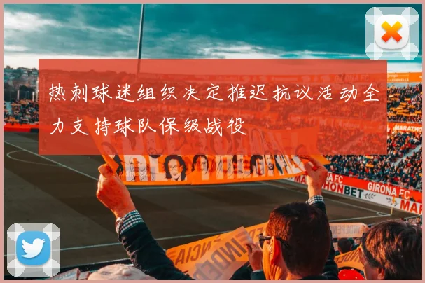 热刺球迷组织决定推迟抗议活动全力支持球队保级战役